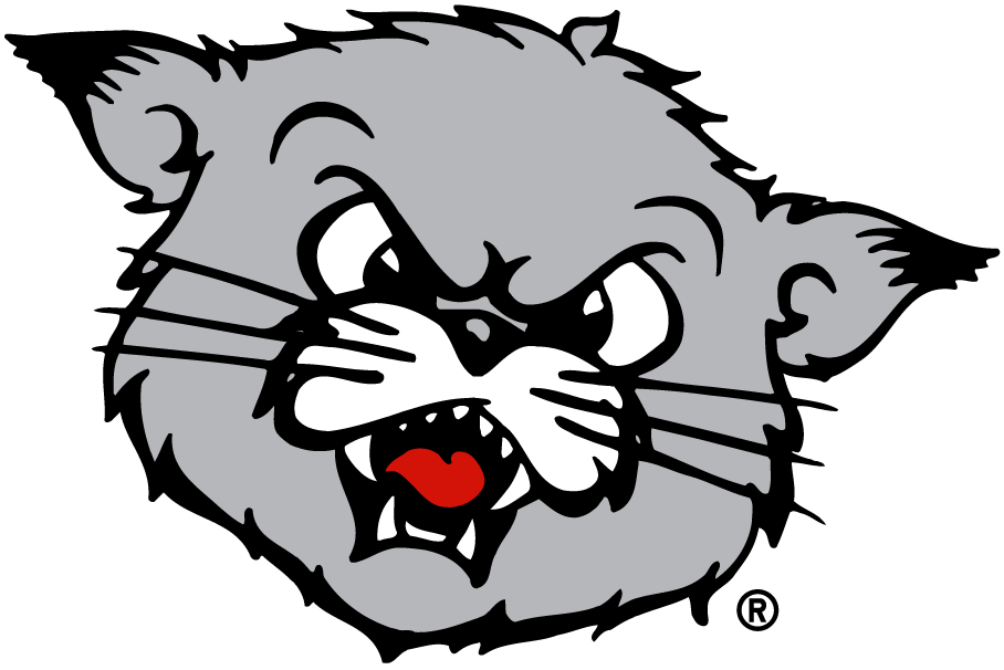 Cincinnati Bearcats 1990-2005 Partial Logo iron on transfers for T-shirts...